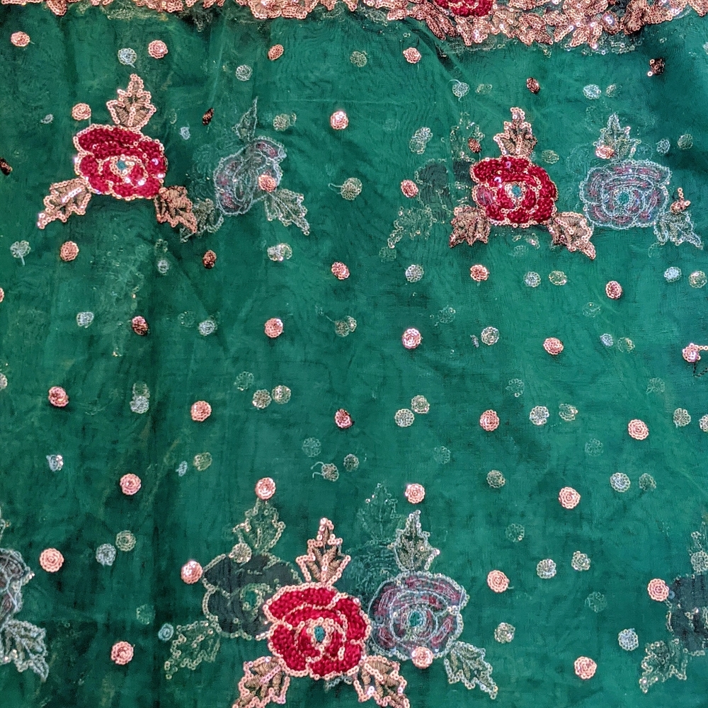 Saree - Picture 2 of 10
